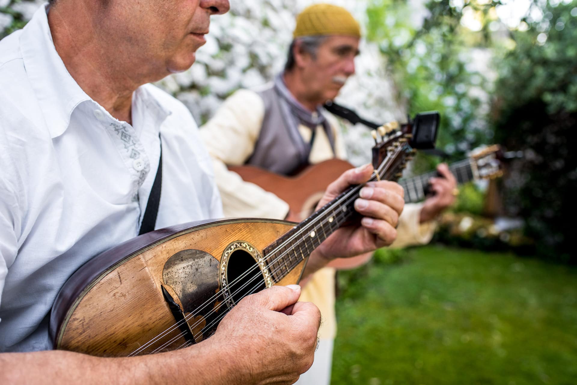 mandolin players