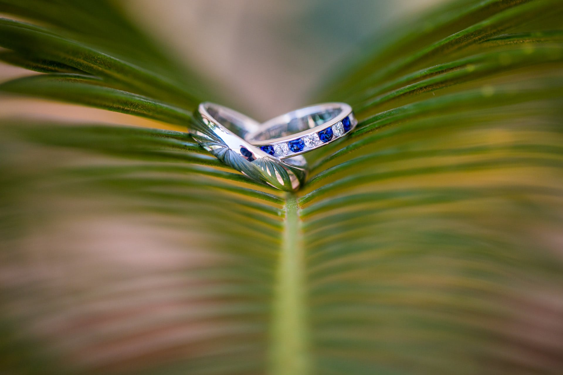 wedding rings on a palm leaf