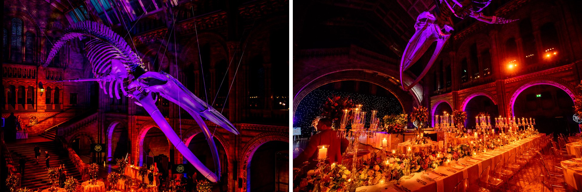 event hire Natural History Museum